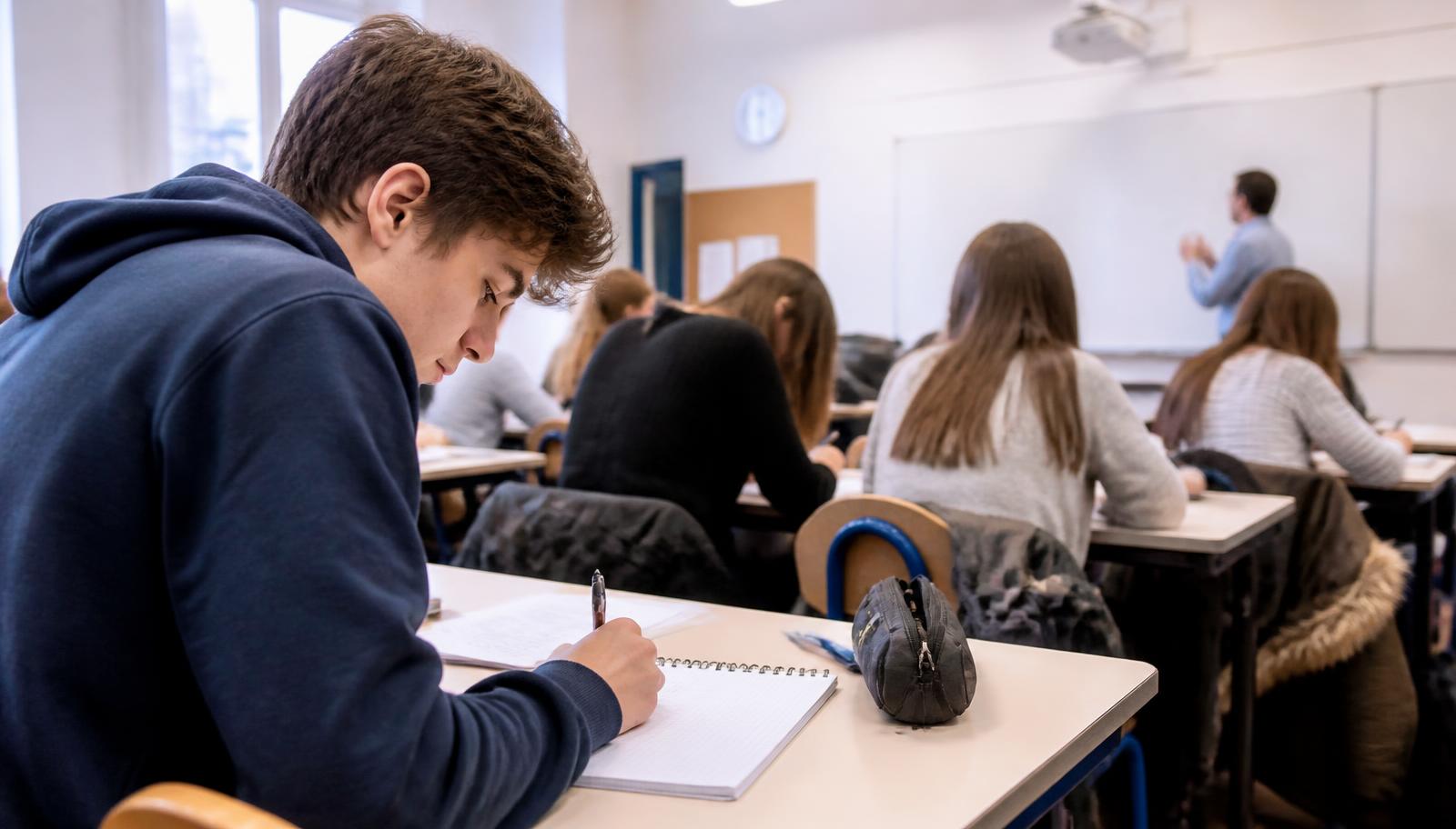 Quels sont les grands lycées de Gap ? Résultats du bac 2025