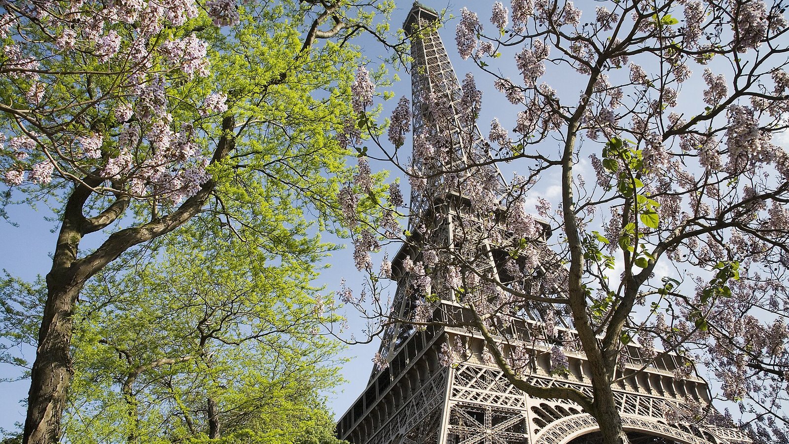 Étudier en France : guide complet pour les familles francophones et internationales